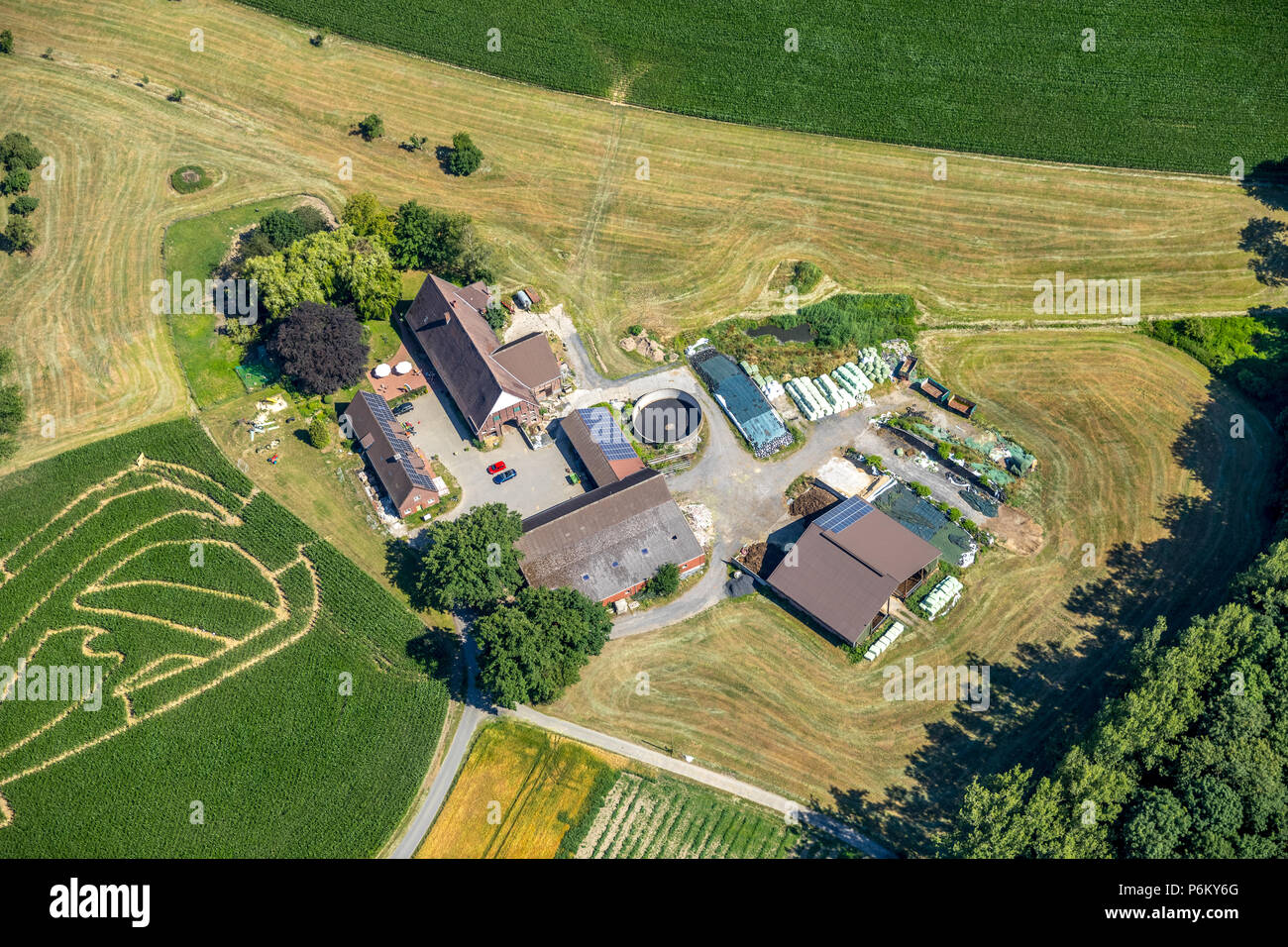 Mais Labyrinth mit Russischen Fußball-Emblem in Cappenberg, Bauernhof Lünemann, Selm, Ruhr, Nordrhein-Westfalen, Deutschland, DEU, Europa, Luftaufnahme, Vögel - Augen vi. Stockfoto