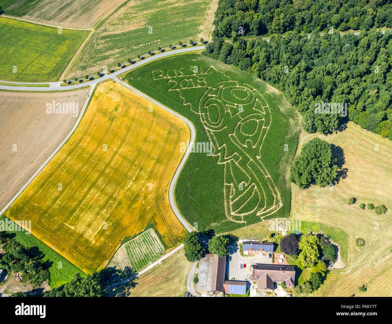 Mais Labyrinth mit Russischen Fußball-Emblem in Cappenberg, Bauernhof Lünemann, Selm, Ruhr, Nordrhein-Westfalen, Deutschland, DEU, Europa, Luftaufnahme, Vögel - Augen vi. Stockfoto