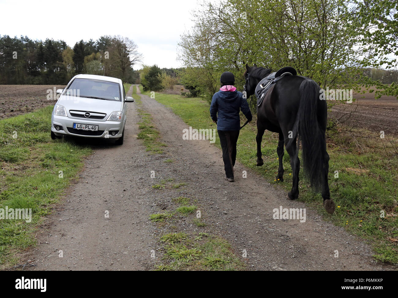 Melbeck, Reiter führt Ihr Pferd hinter einem geparkten Auto Stockfoto