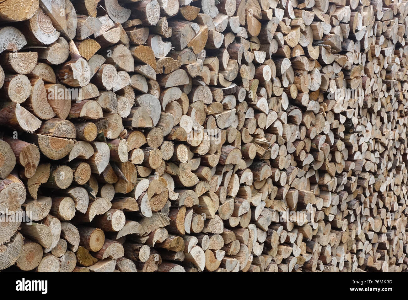 Berlin, Deutschland - Brennholz Stapel Stockfoto