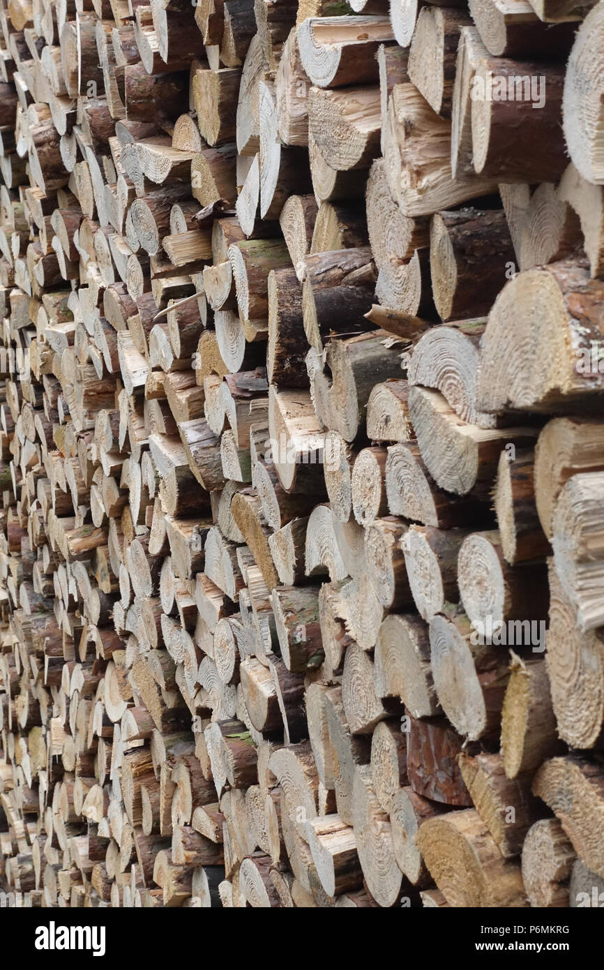 Berlin, Deutschland - Brennholz Stapel Stockfoto