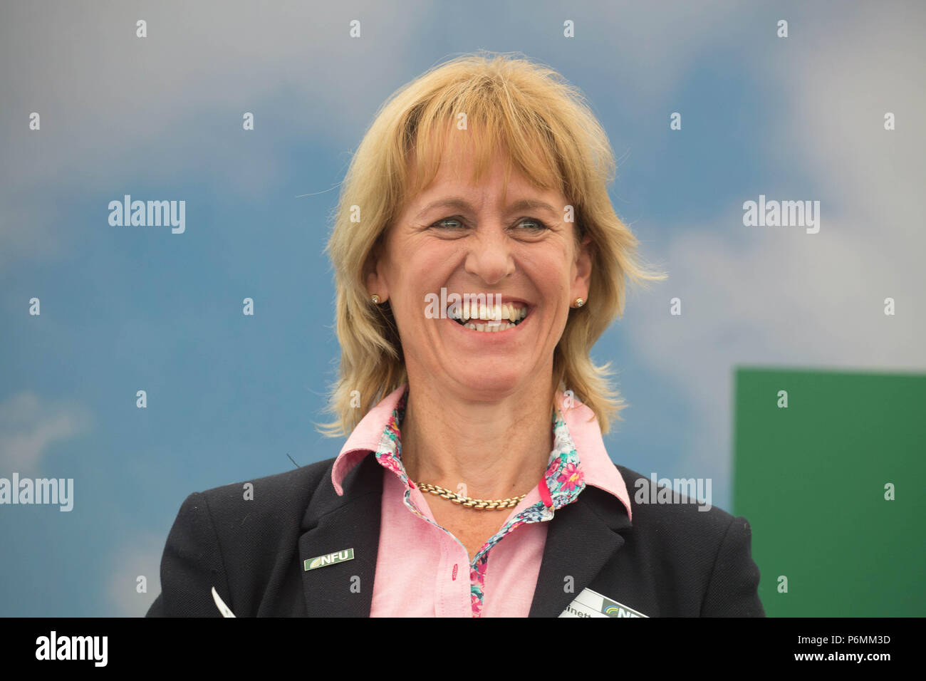 Minette zerschlägt, National Farmers Union Präsident an die 2018 Getreide Veranstaltung in Cambridgeshire Stockfoto