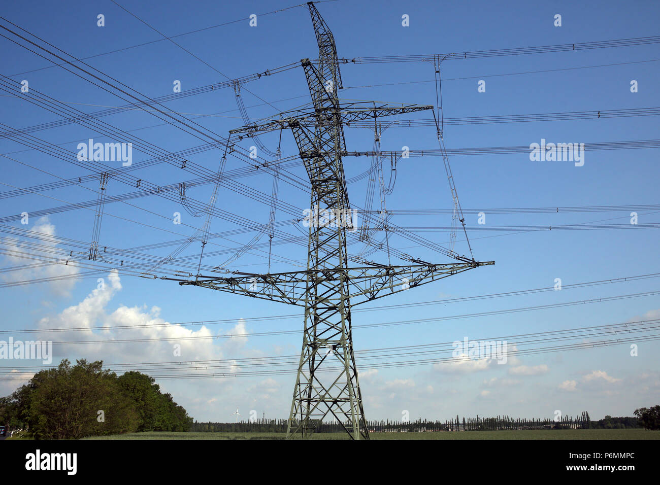 Schoenewalde, Deutschland, Strommast Stockfoto