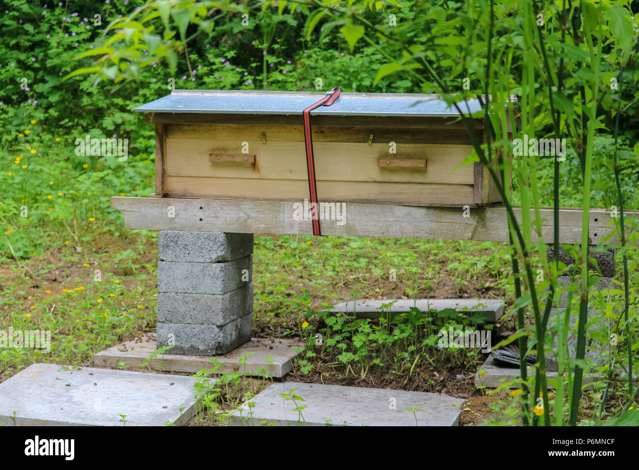 Seitenansicht eines Top Bar Bienenstock auf einem hausgemachten stehen in einem North Devon. Stockfoto
