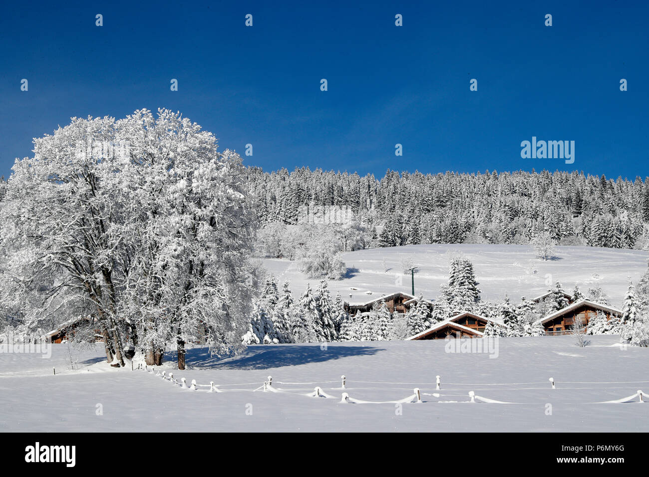 Die französischen Alpen. Feld im Winter. Frankreich. Stockfoto