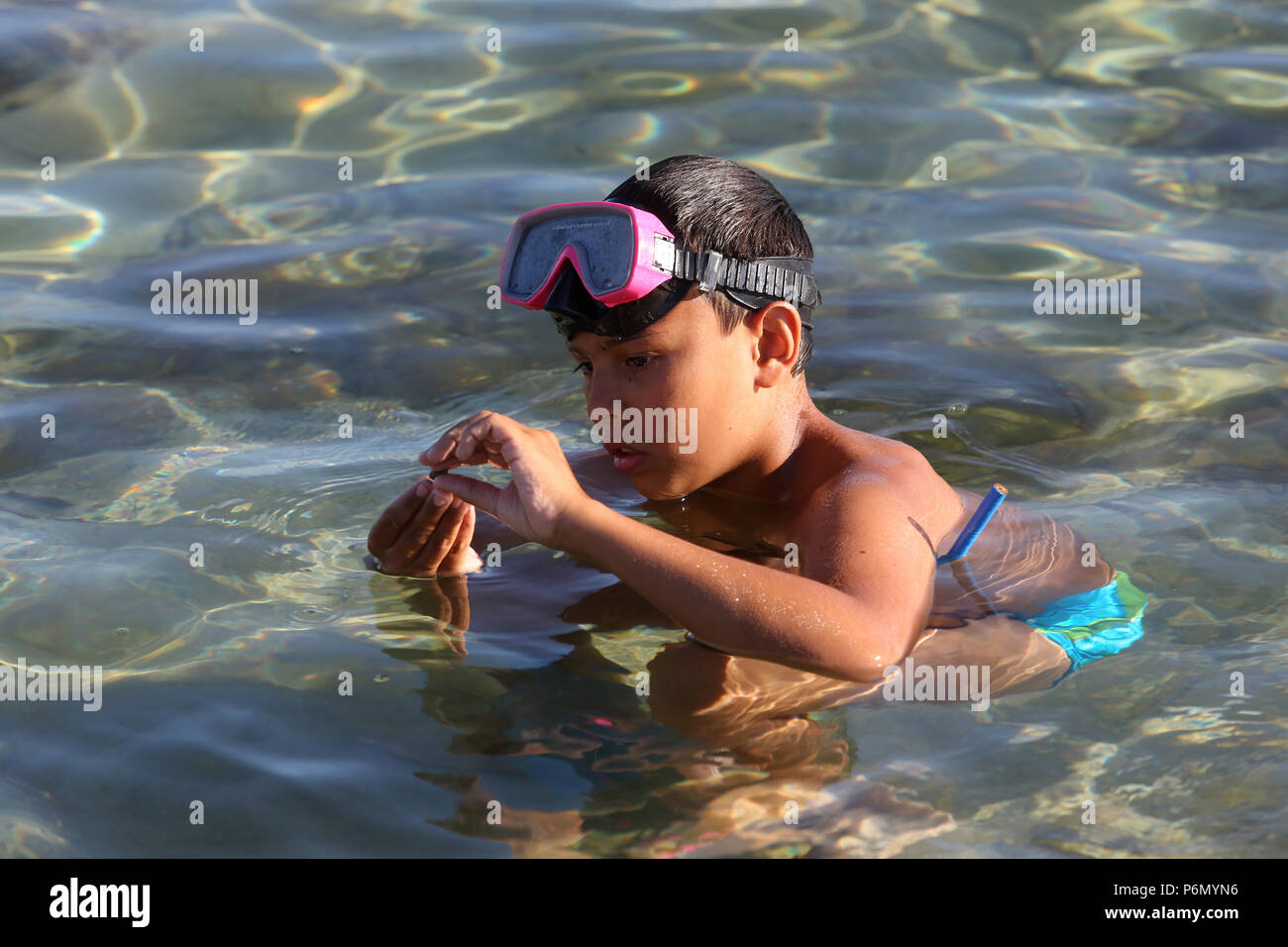 11-jähriger Junge mit Schalentieren im Mittelmeer im Salento, Italien. Stockfoto 11-jähriger Junge mit Schalentieren im Mittelmeer im Salento, Italien. Stockfoto