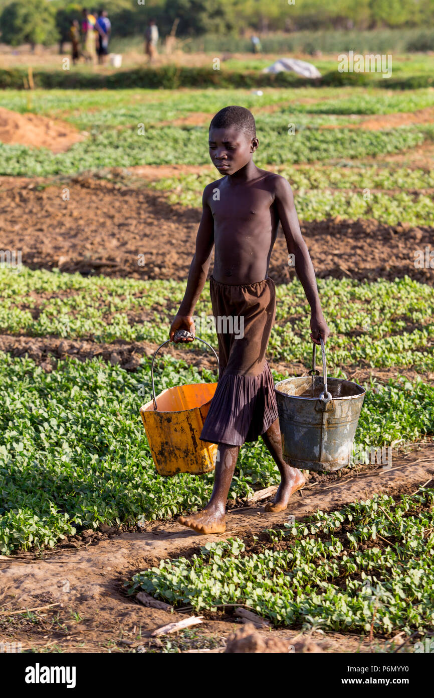 Mädchen beim Wasserholen ein Feld in Karsome, Togo zu Wasser. Stockfoto