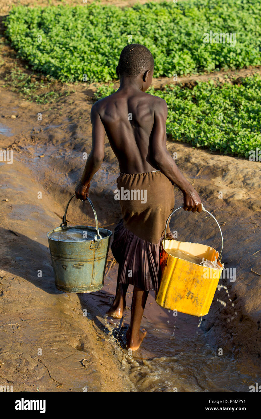 Mädchen beim Wasserholen ein Feld in Karsome, Togo zu Wasser. Stockfoto