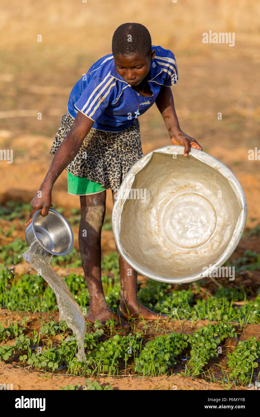 Junge togoischen Bewässerung ein Feld in Karsome, Togo. Stockfoto