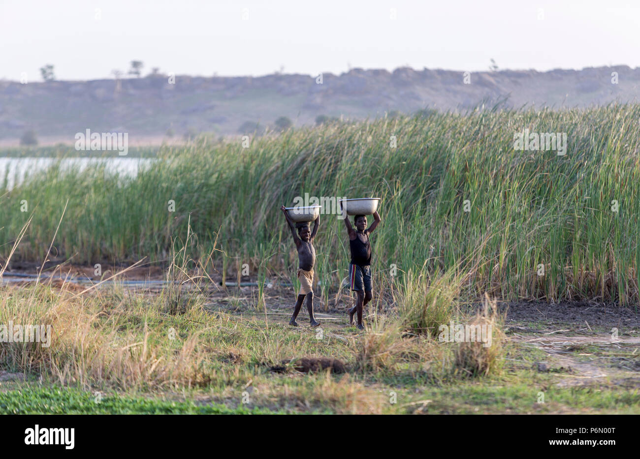 Togolesische Kinder tragen von Wasser für die Bewässerung in Karsome, Togo. Stockfoto