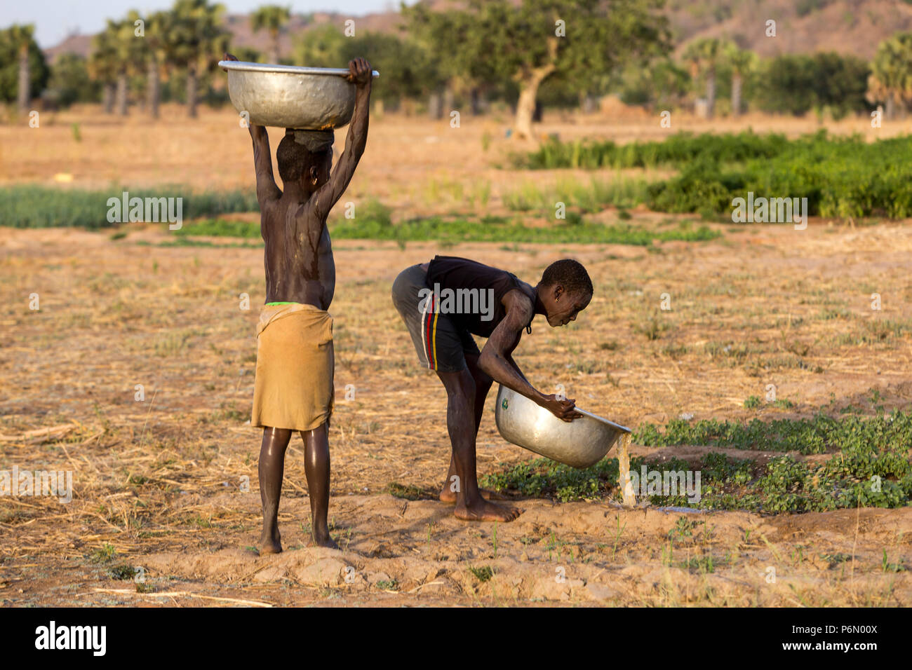 Togolesische Kinder tragen von Wasser für die Bewässerung in Karsome, Togo. Stockfoto