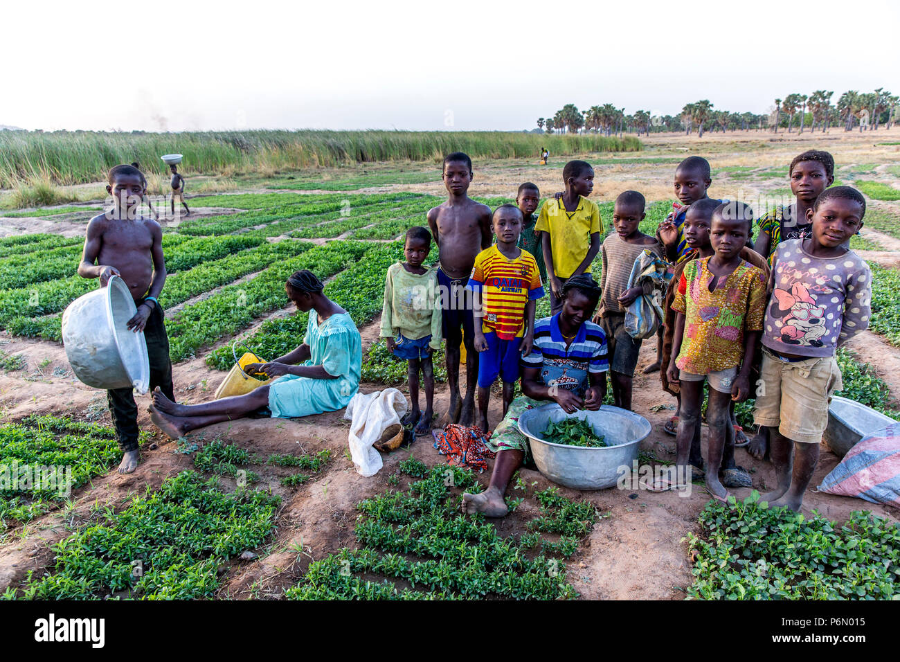 Togolesische Kinder und Frauen, die die Landwirte in Karsome, Togo. Stockfoto