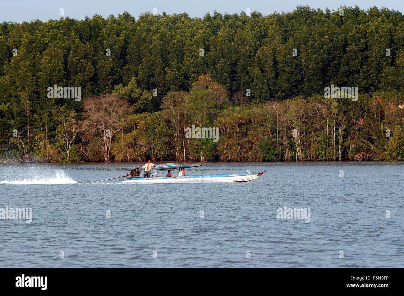 Long-tail-Boot auf Saigon River. Vietnam. Stockfoto