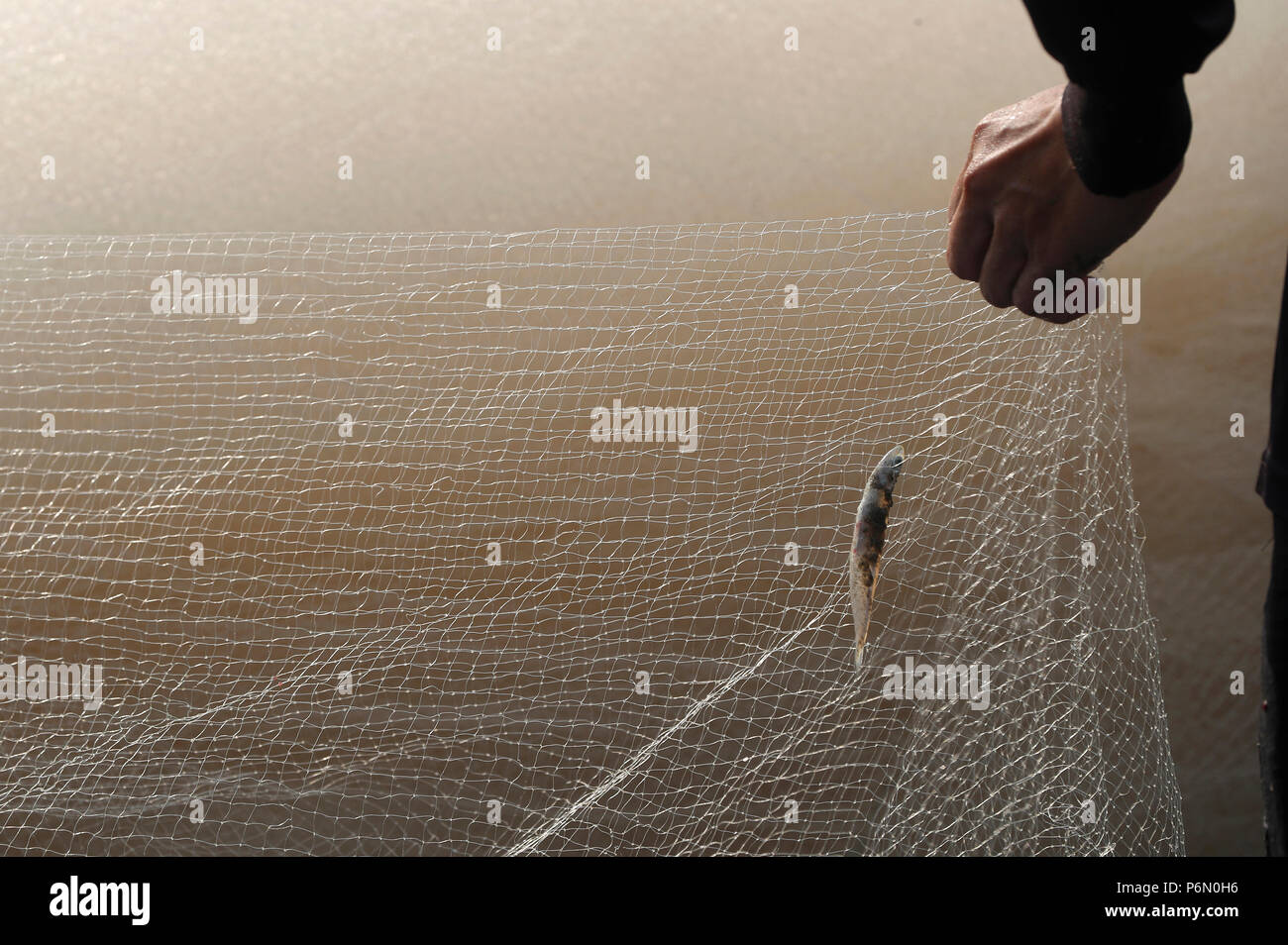 Fischernetz mit kleinen Fischen. Vung Tau. Vietnam. Stockfoto
