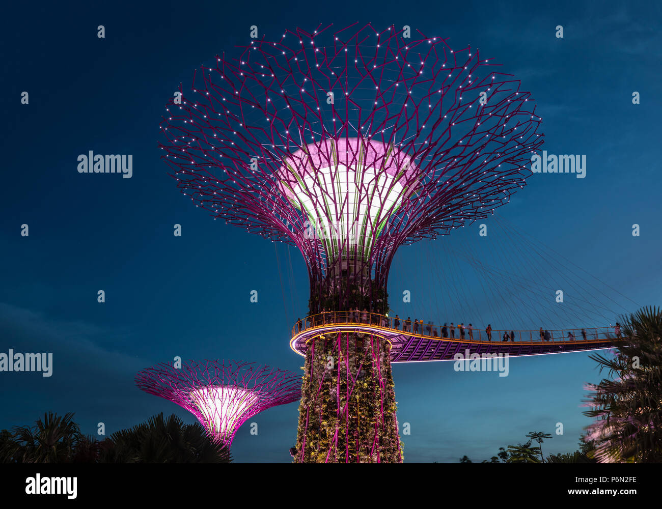 Singapur - May 22, 2018: Super Tree Grove Anlagenstrukturen im Garten durch die Bucht in Singapore Downtown nach Sonnenuntergang beleuchtet für eine Licht und Musik Stockfoto