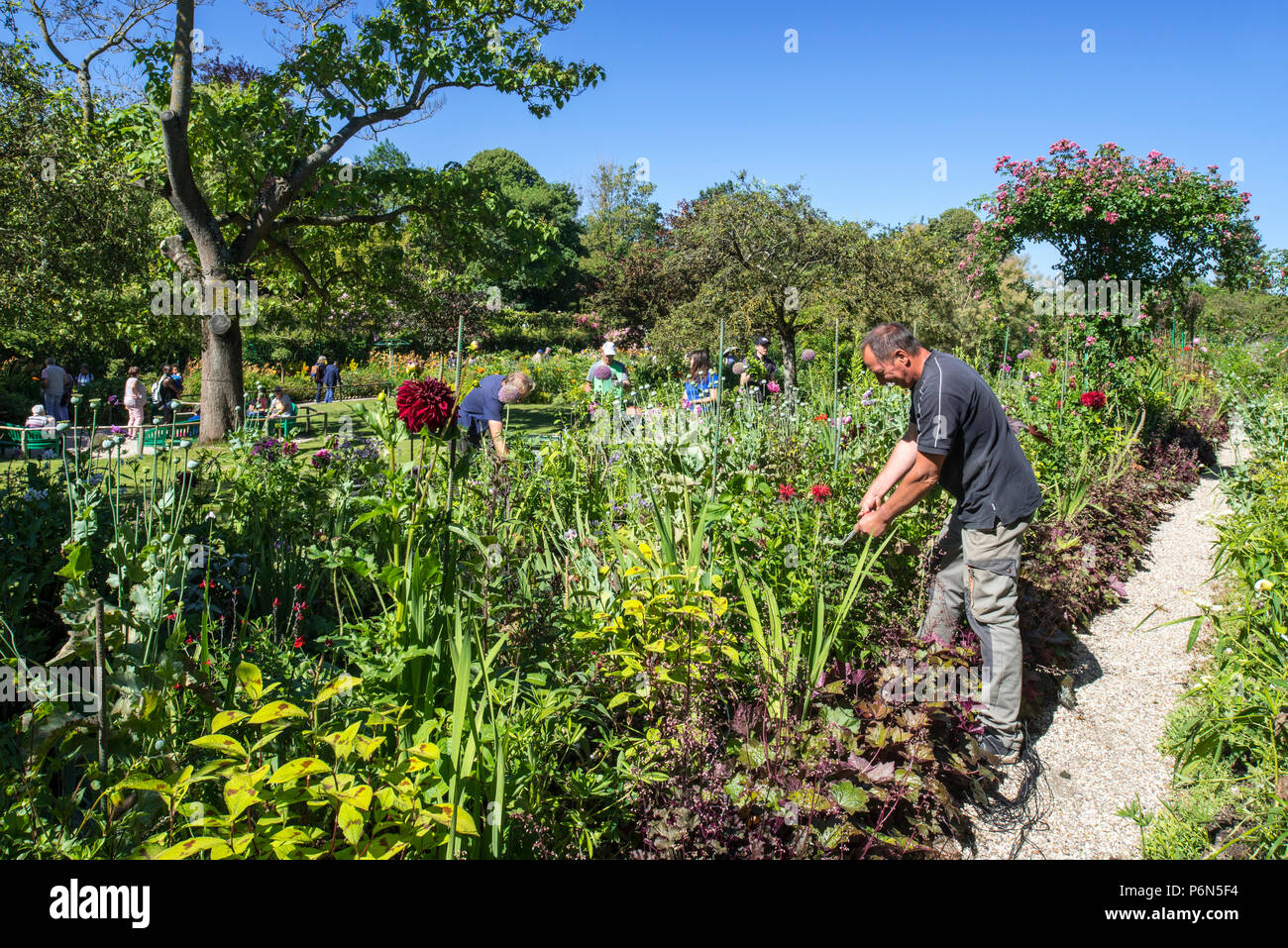 Gärtnerin/Gärtner im Sommer im Garten arbeiten am Haus des impressionistischen Malers Claude Monet in Giverny, Eure, Normandie, Frankreich Stockfoto