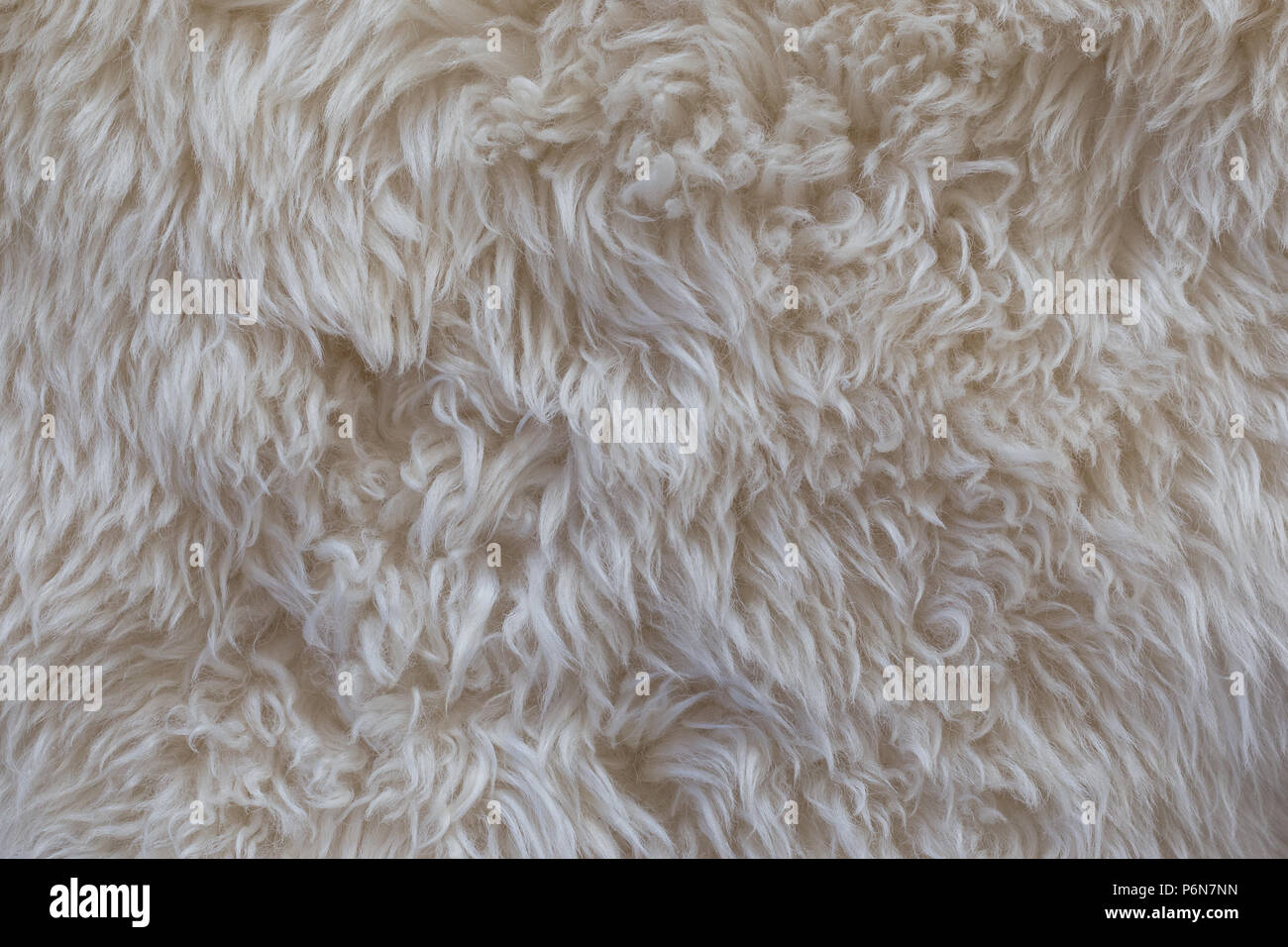 Nahaufnahme eines weißen shaggy Teppich Textur Hintergrund von oben gesehen Stockfoto