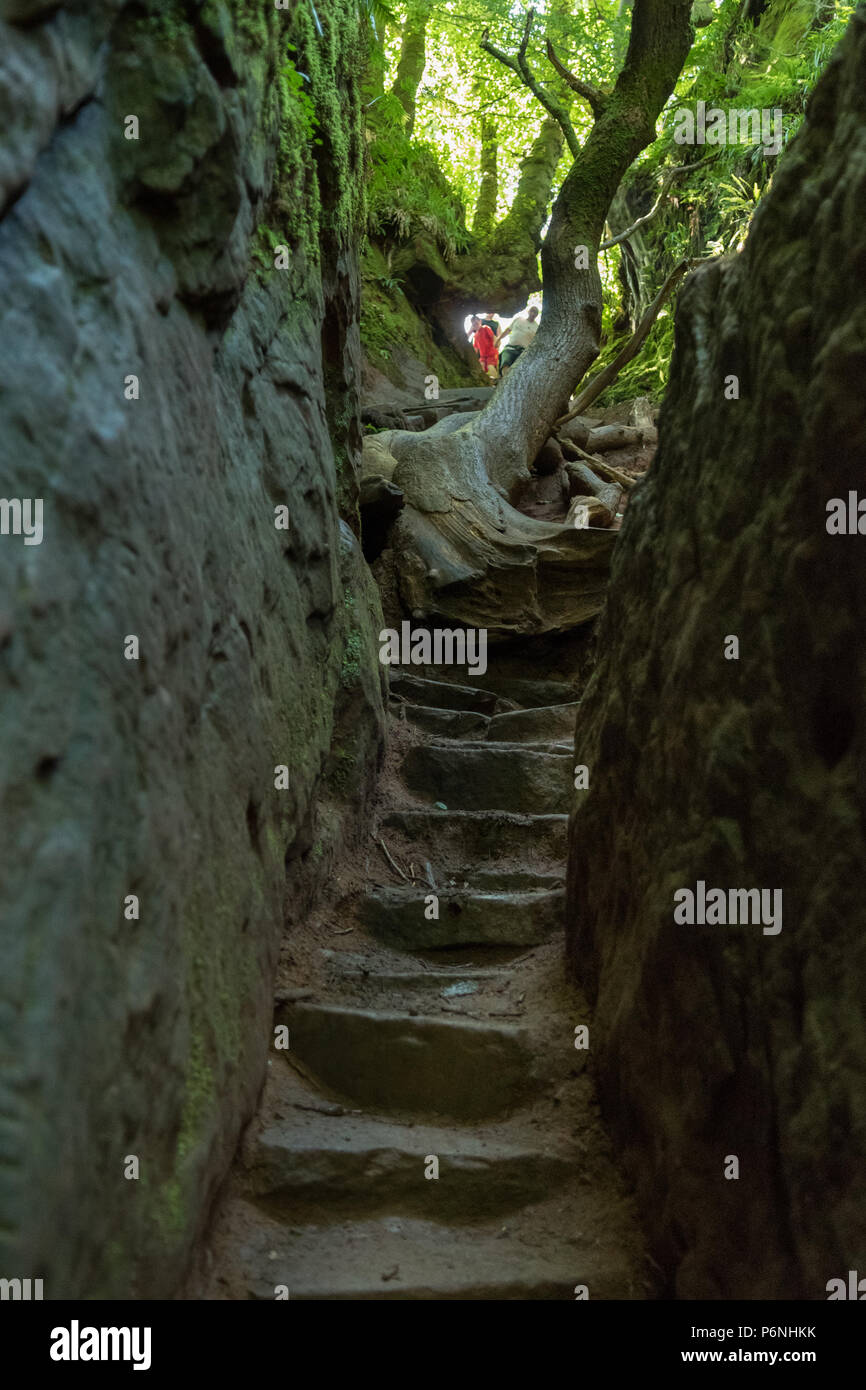 Die Leute an der Spitze der steile Stufen, bekannt als Jacobs Leiter unten in Finnich Glen, Killearn, Schottland, Großbritannien führenden Stockfoto