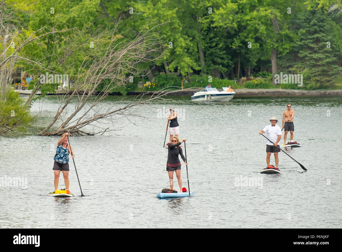 Gruppe von Menschen, die paddleboarding in Muskoka River in Ontario, Kanada. Stockfoto