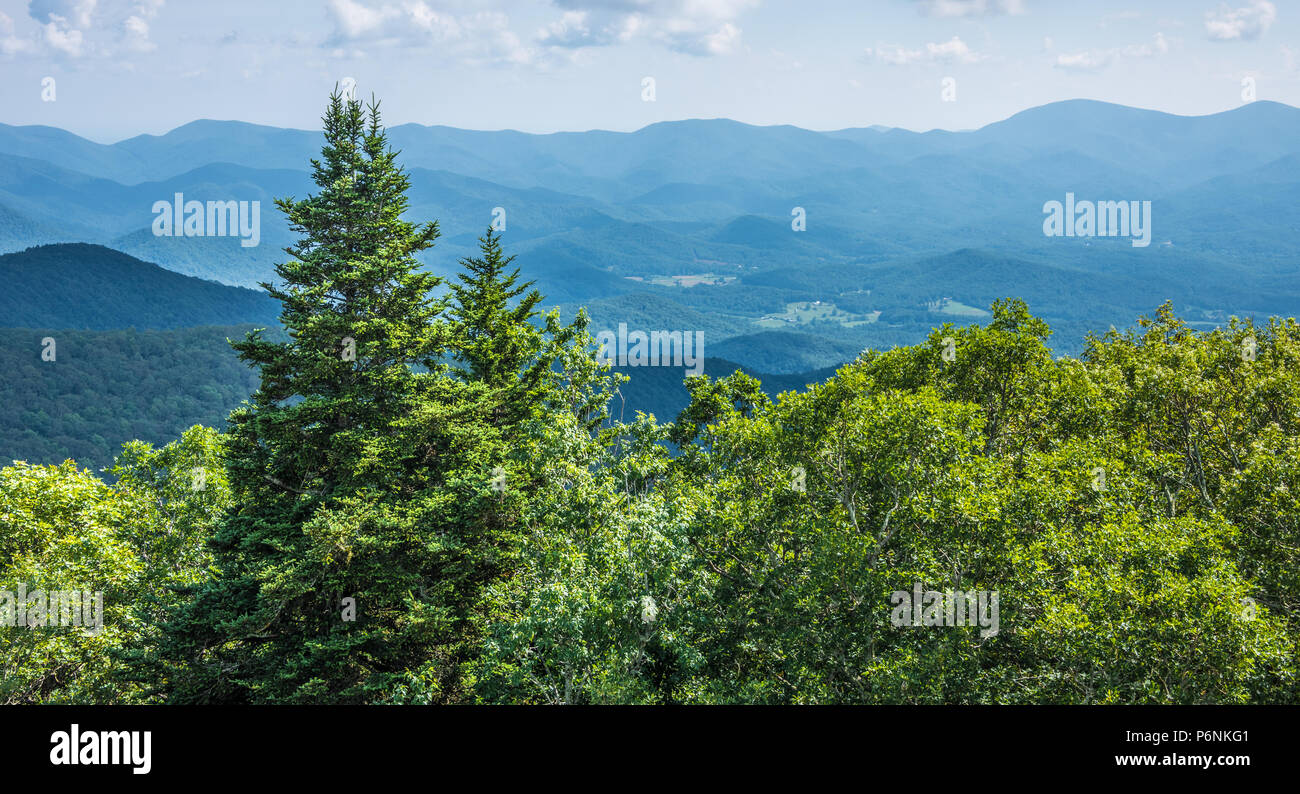 Blick auf den Blue Ridge Mountains von North Georgia von Brasstown Bald in der Nähe von Hanover, Georgia. (USA) Stockfoto