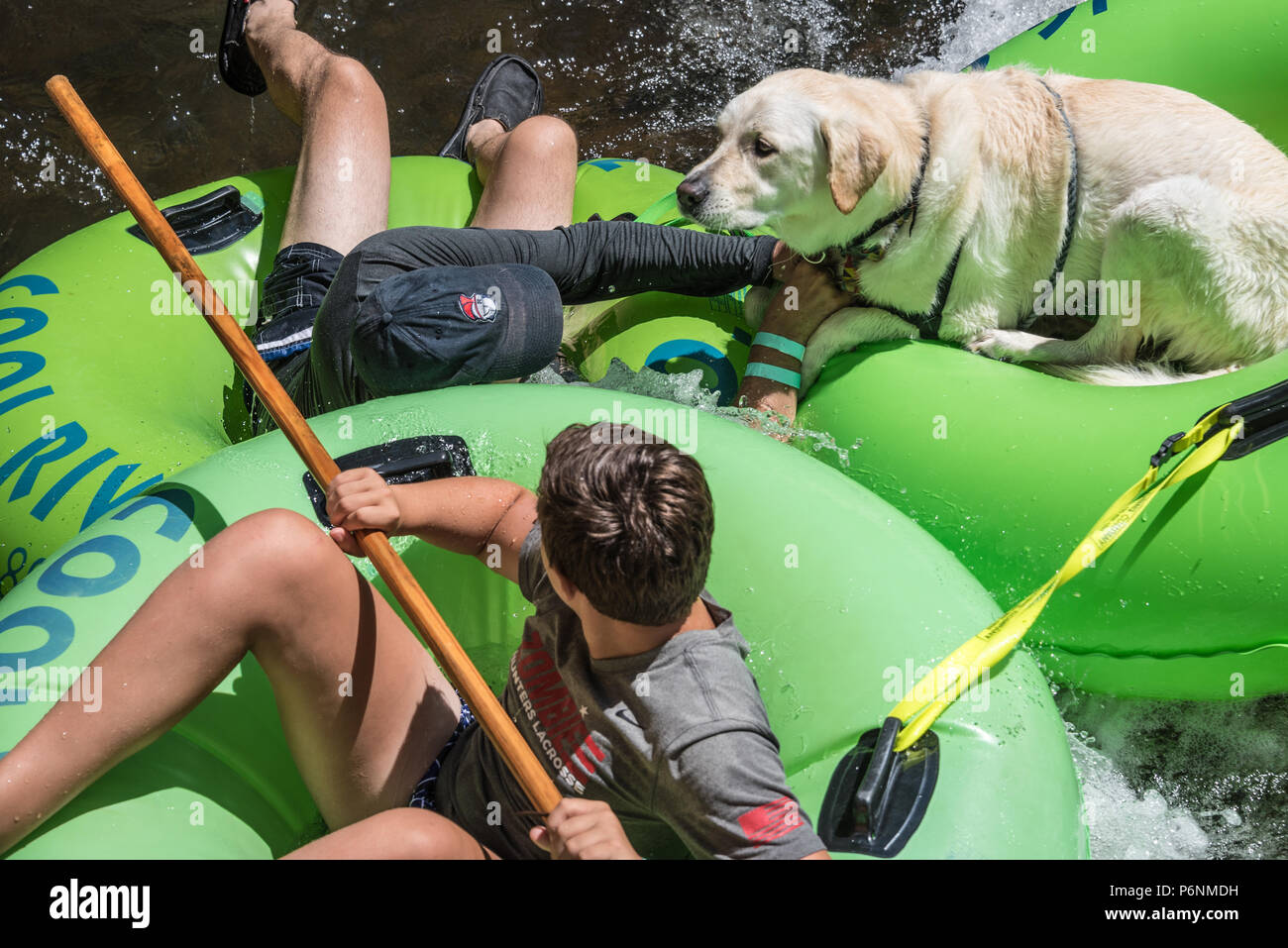 Familie Schläuche mit der beste Freund des Menschen am Chattahoochee River in Helen, Georgia. (USA) Stockfoto