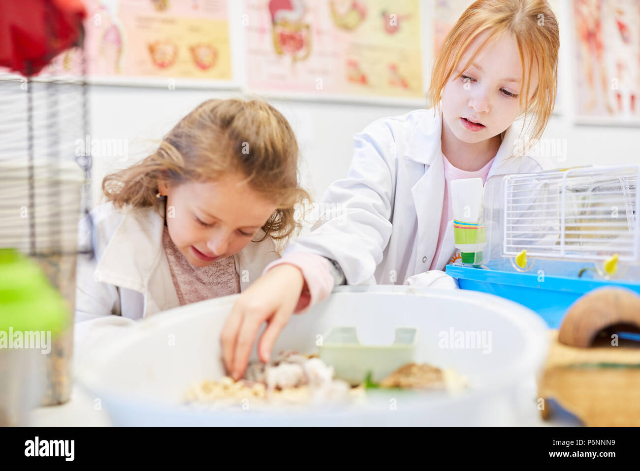 Kinder sorgen für wenig Mäuse in der Grundschule Unterricht Biologie Stockfoto