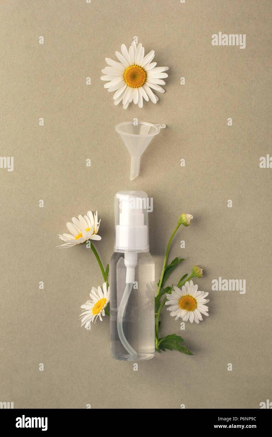 Kosmetik Paket container Flasche mit Kamille Blumen, Kräuter Konzept. Natürliche organische beauty Product concept Mock up. Leere Flasche für Label-eigenen Br Stockfoto