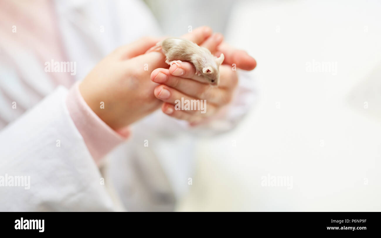 Schülerinnen und Schüler halten kleine Maus auf Ihren Händen in der Grundschule Unterricht Biologie Stockfoto