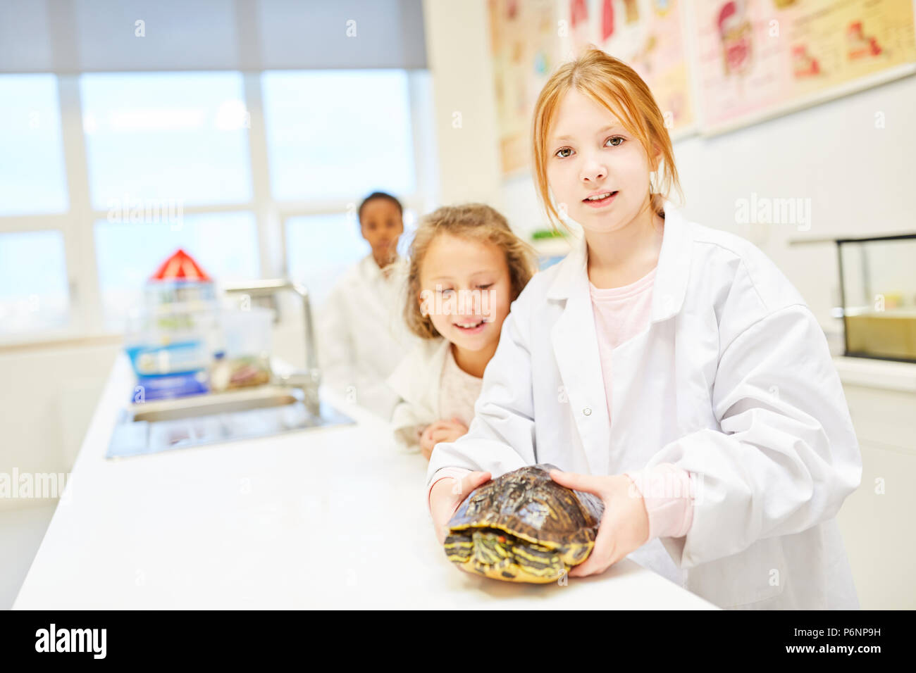 Mädchen als Schülerin mit einer Schildkröte in der Grundschule Biologie Labor Stockfoto