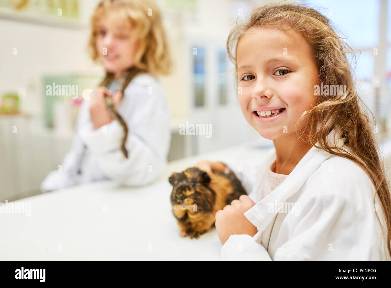 Kinder erkunden Meerschweinchen in der Biologie. Grundschule Unterricht Stockfoto