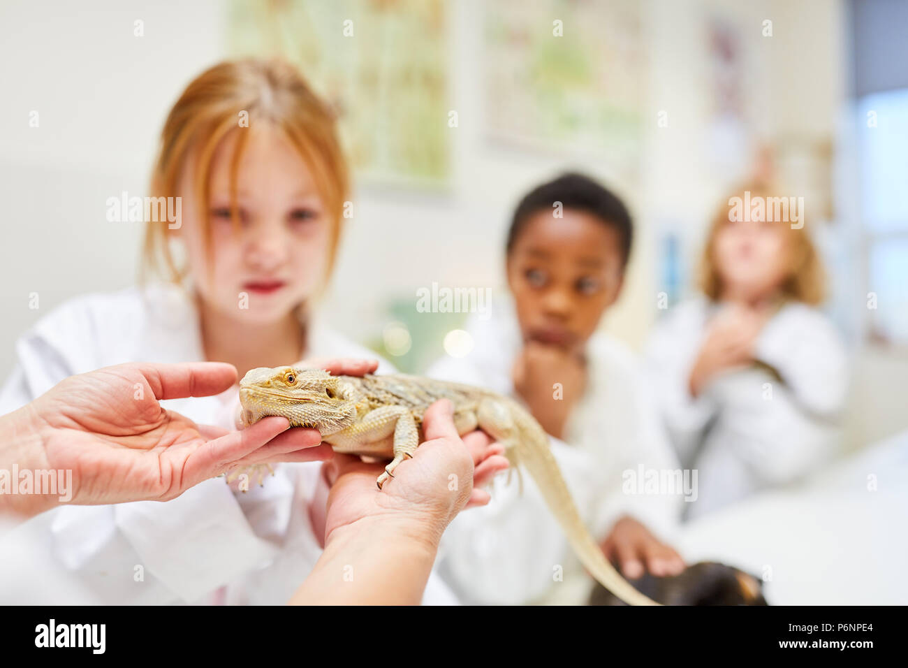 Grundschüler der Leguan Verhalten im Biologieunterricht erkunden Stockfoto