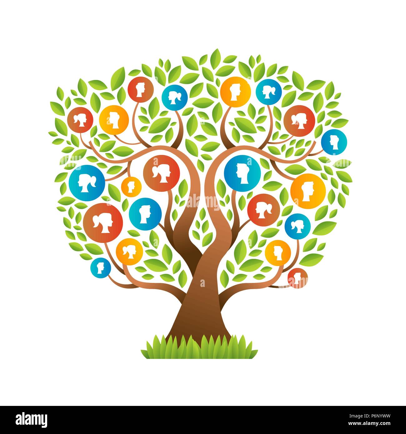 Stammbaum Vorlage Konzept mit Leuten die Symbole von Mann und Frau Porträts. Soziale Gemeinschaft Symbole. EPS 10 Vektor. Stock Vektor