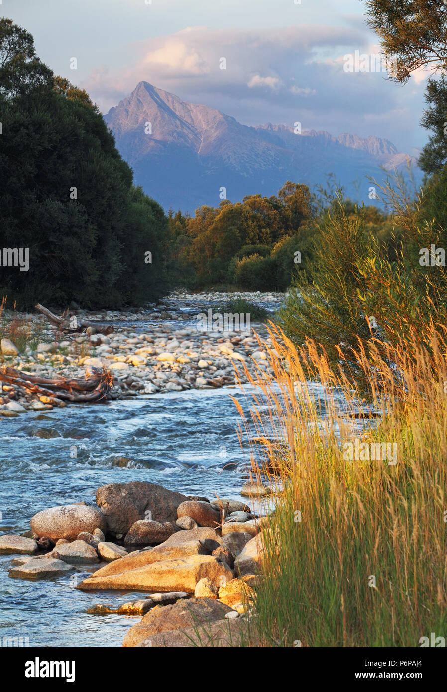 Slowakei Bergbach Bela mit Tatra Spitze Krivan im Hintergrund Stockfoto
