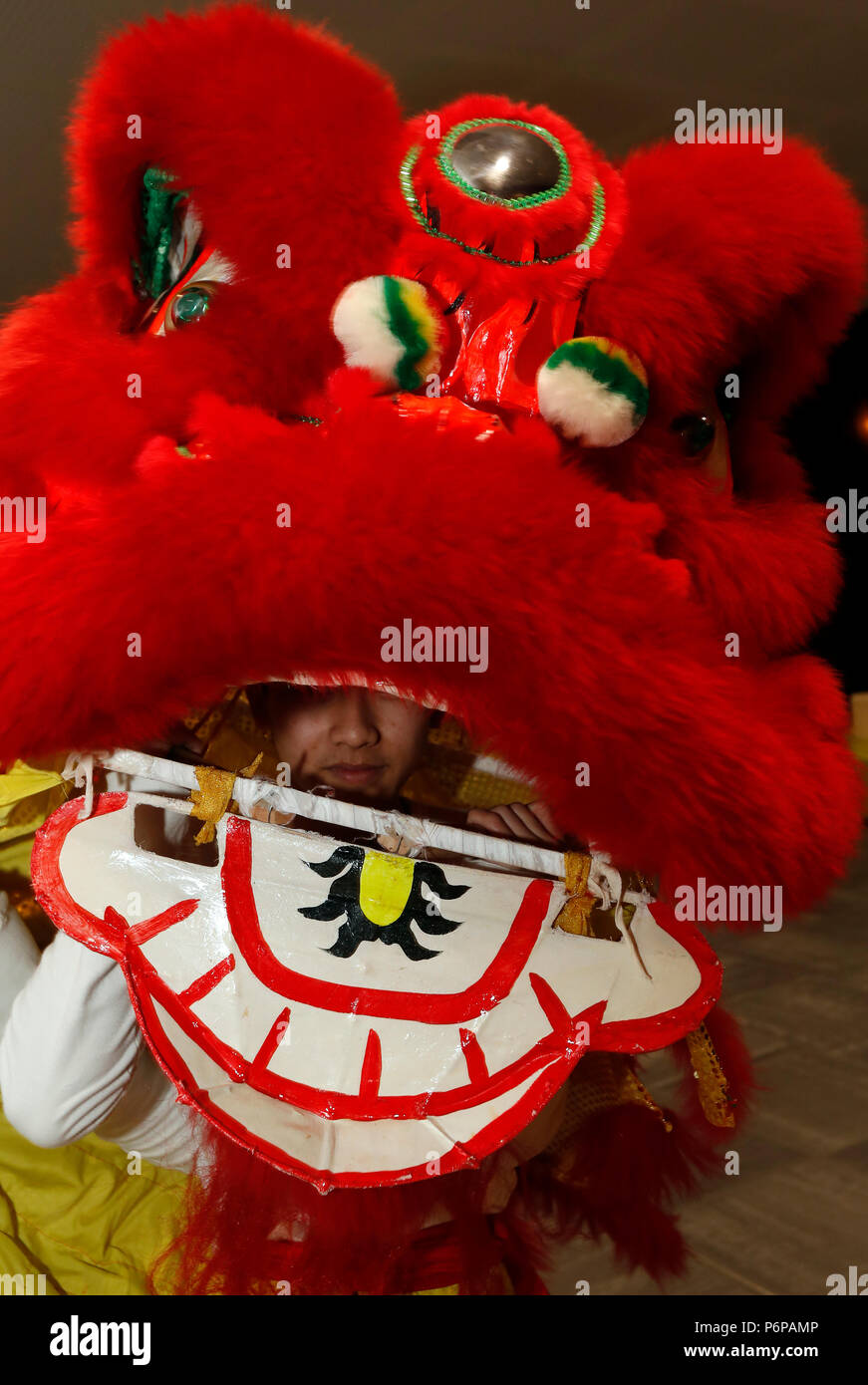 Das chinesische Neujahr feiern. Lion Dance Performance. Bonneville. Frankreich. Stockfoto