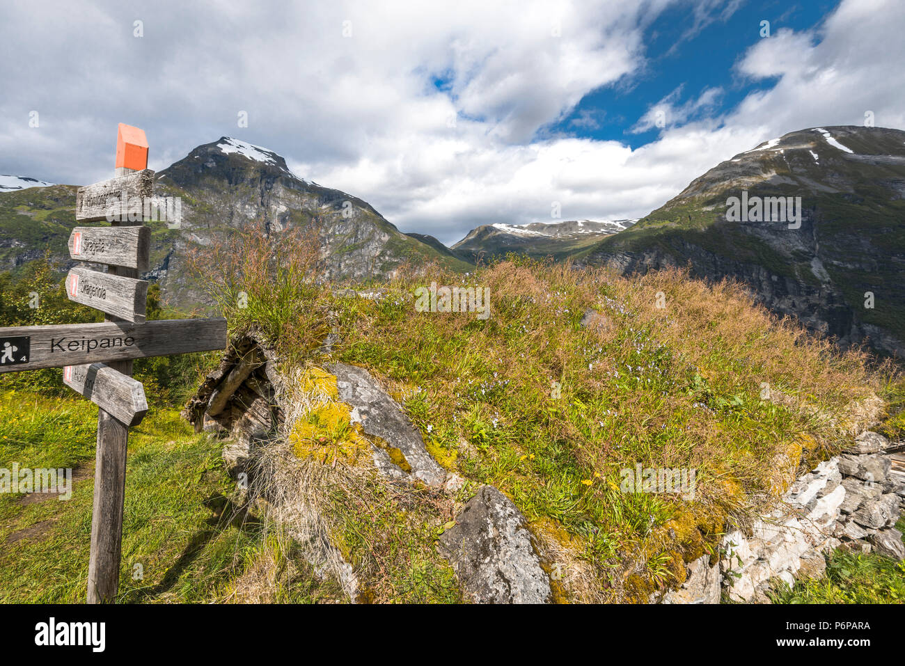 Alte Alphütten der Homlongsetra, Norwegen, Almhütten der ehemaligen Bergbauern Stockfoto