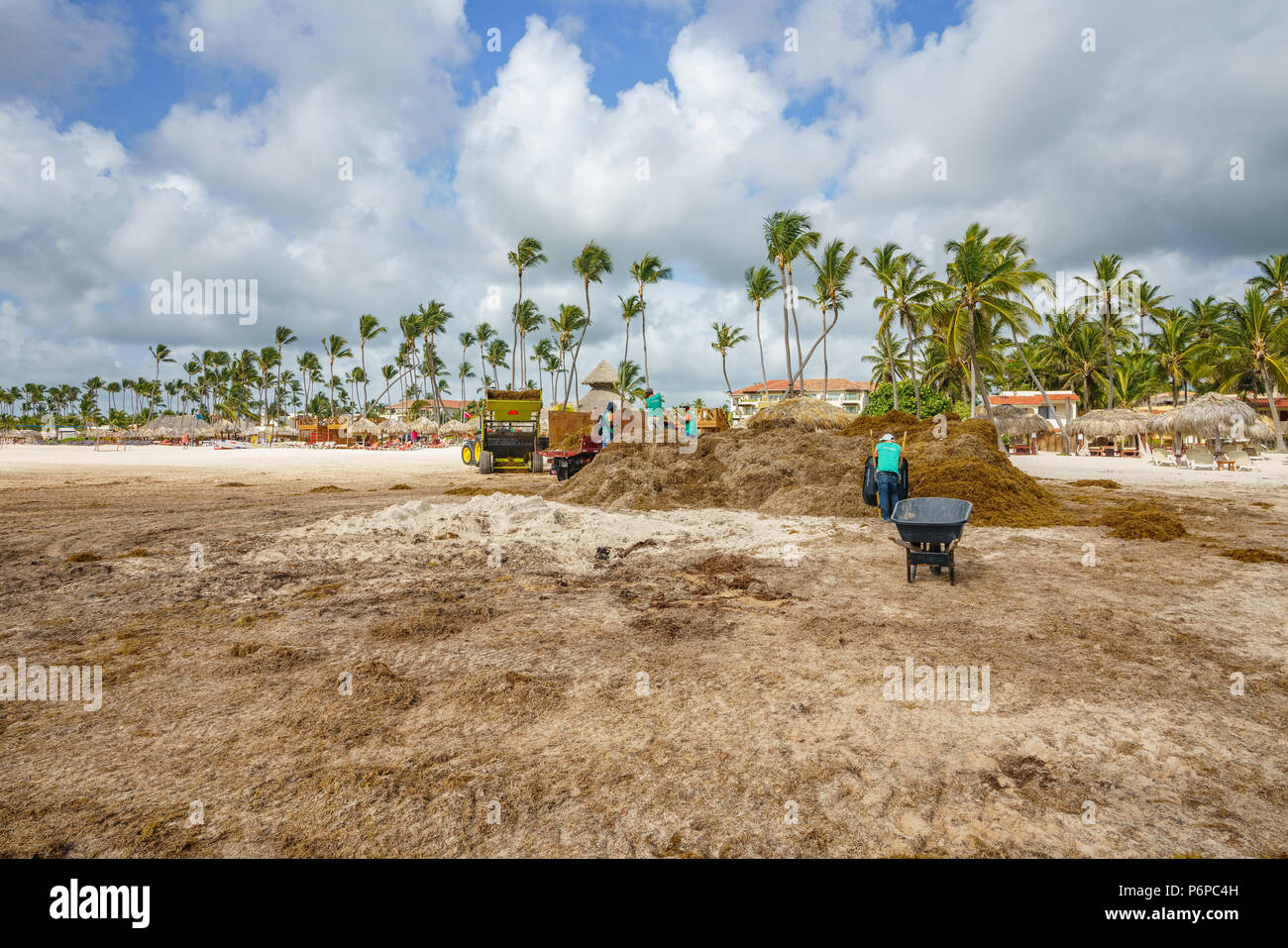 Punta Cana, Dominikanische Republik - 17. Juni 2018: sargassum Algen auf dem beaytiful Ocean Beach in Playa Bavaro, Punta Cana, das Ergebnis der globalen Erwärmung Klimawandel. Stockfoto