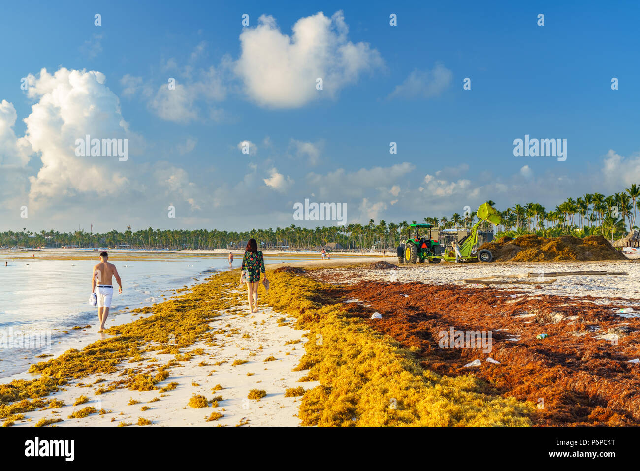 Punta Cana, Dominikanische Republik - 19. Juni 2018: sargassum Algen auf dem beaytiful Ocean Beach in Playa Bavaro, Punta Cana, das Ergebnis der globalen Erwärmung Klimawandel. Stockfoto