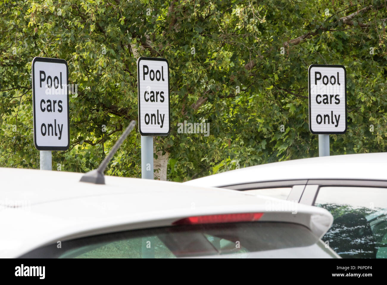 Pool Autos in Unternehmen Parkplatz geparkt, England, Großbritannien Stockfoto