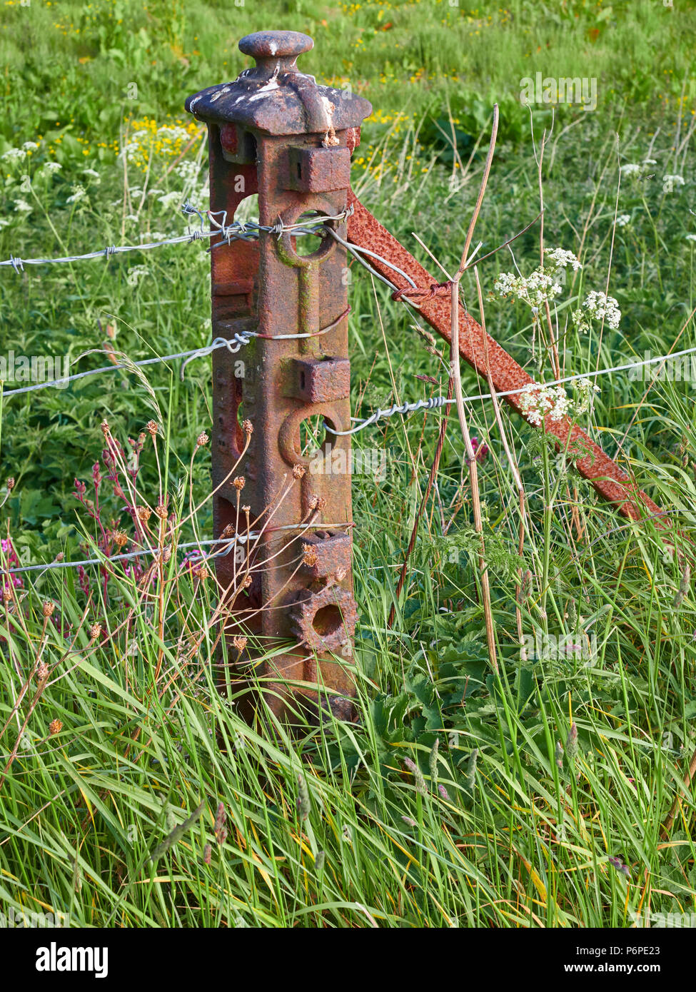 Ein altes Bügeleisen Fencepost in einem Feld in der Nähe von carmyllie Angus, Schottland verrostet. Stockfoto