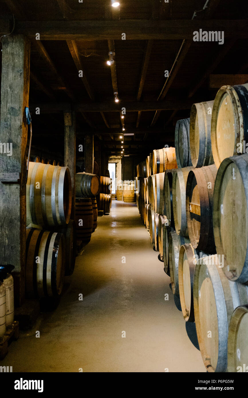 Foto der Brauerei Cantillon und Museum von Geuze in Brüssel, Belgien, Lambic produzieren Stockfoto