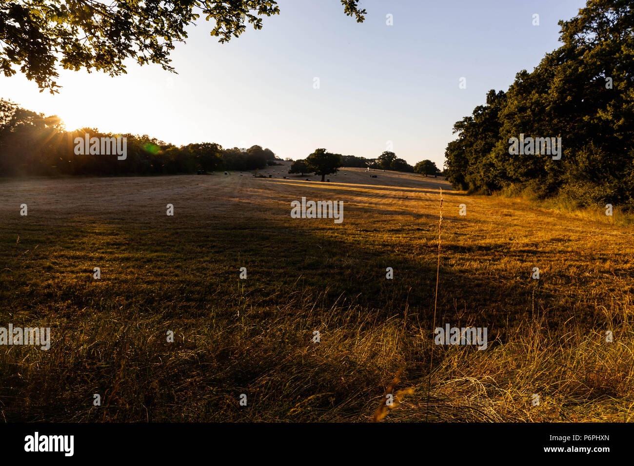 Abend Schatten über einem Feld von Stoppeln, England, UK. Stockfoto