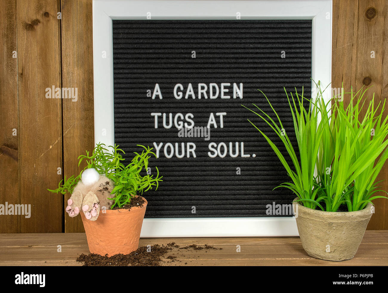Bunny in Topfpflanze und Schmutz mit Garten Angebot für Message Board Stockfoto