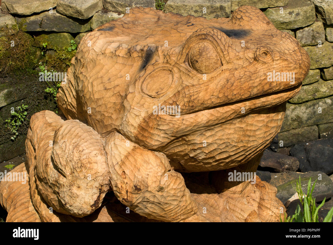 Zierpflanzen aus Holz geschnitzte Frosch. Stockfoto