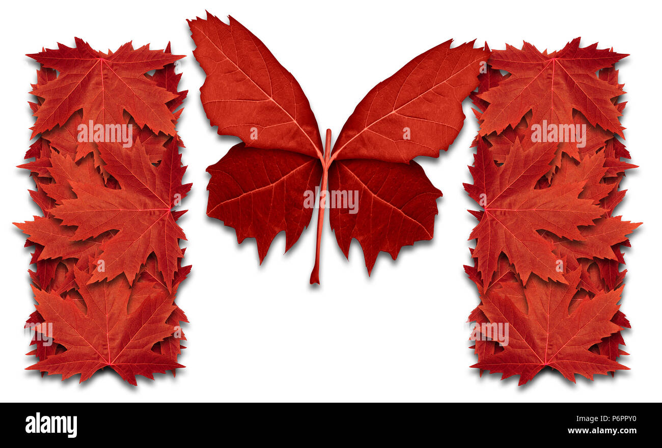 Erfolg in Kanada und kanadischen Gelegenheit Konzept oder Schnee Vogel migrieren, gegen Mittag, als Rote maple leaf Symbol geformt wie ein Schmetterling fliegt. Stockfoto