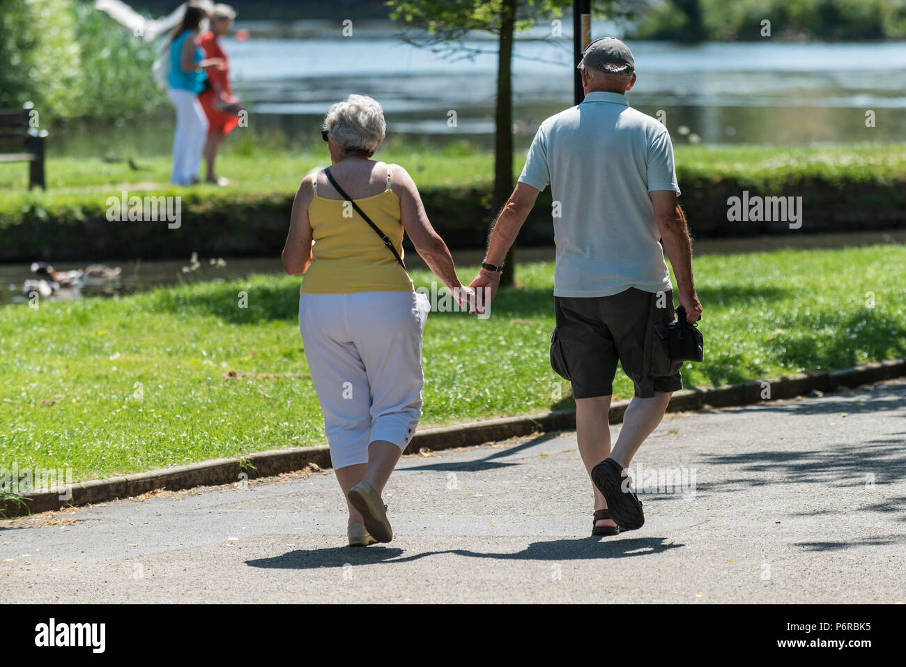 Ein älteres Ehepaar Hand in Hand gehen durch einen Park. Stockfoto