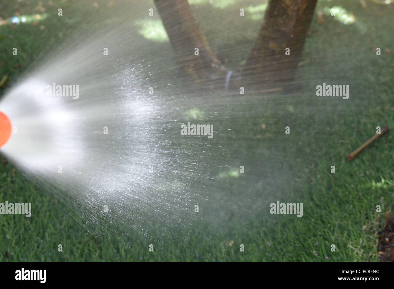 Wasserstrahl aus Gartenschlauch Stockfoto