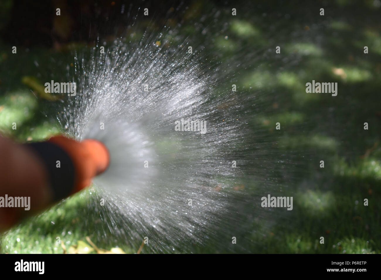 Wasser Sprühen aus Gartenschlauch Stockfoto