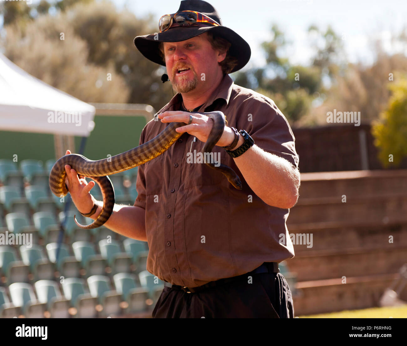 Danny aus Rote Wüste Reptilien, Anzeigen einer Woma Python in Yulara, Northern Territory, Australien Stockfoto
