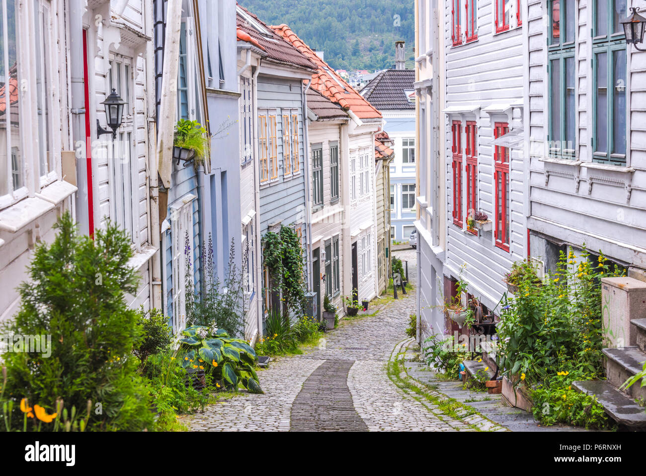 Gasse in der Altstadt von Bergen mit Holzhäuser, Norwegen, Knosesmauet Straße Stockfoto