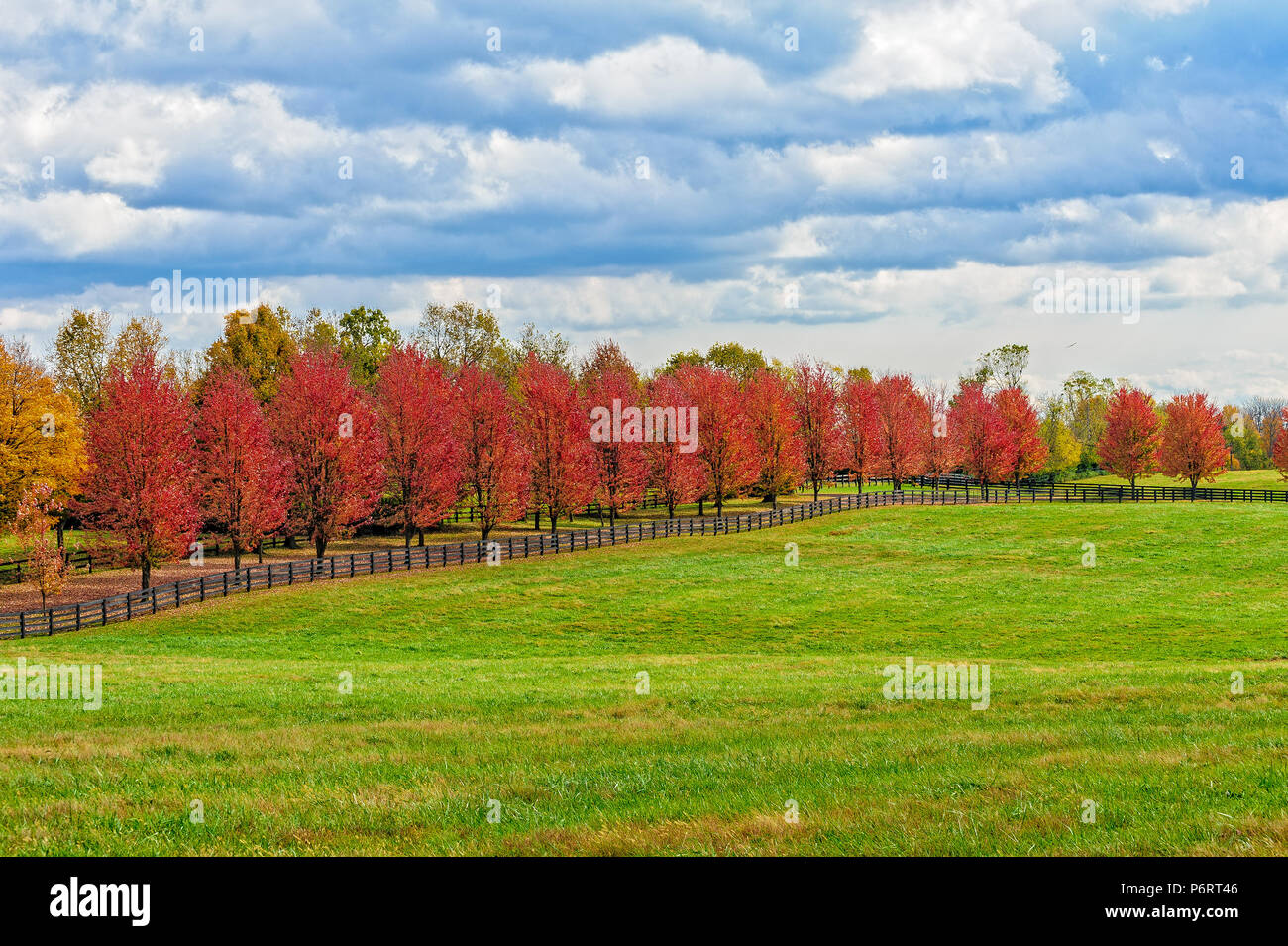 Herbstsaison Stockfoto